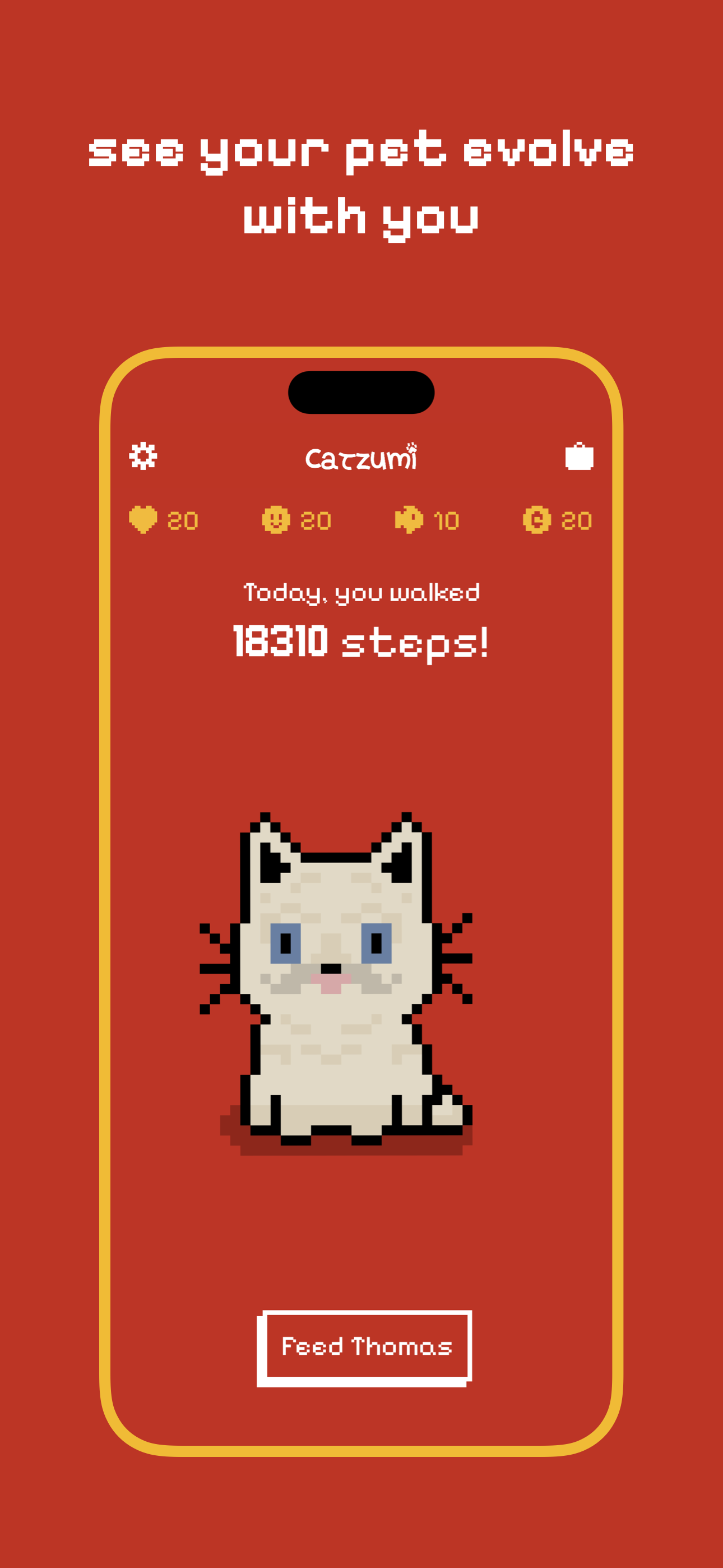 Catzumi