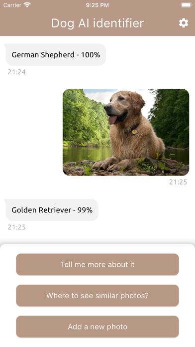 Dog AI identifier Screenshot