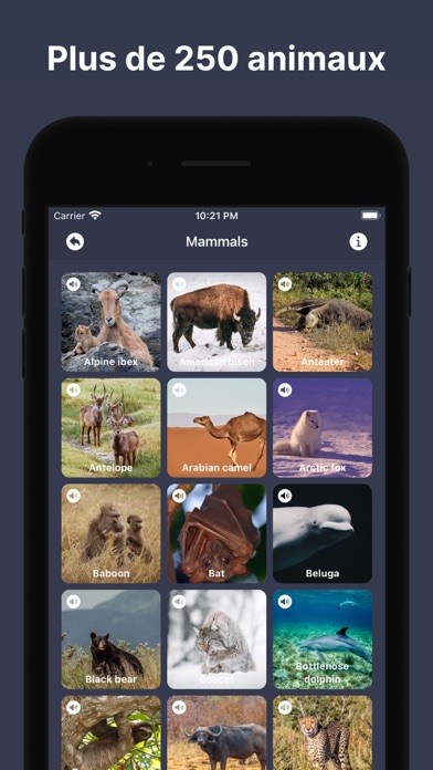 Screenshot #1 pour 250 sons et jeux d'animaux