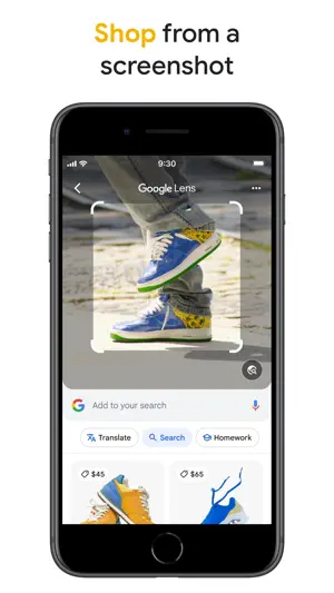 Google screenshot 2