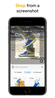 Google screenshot 2