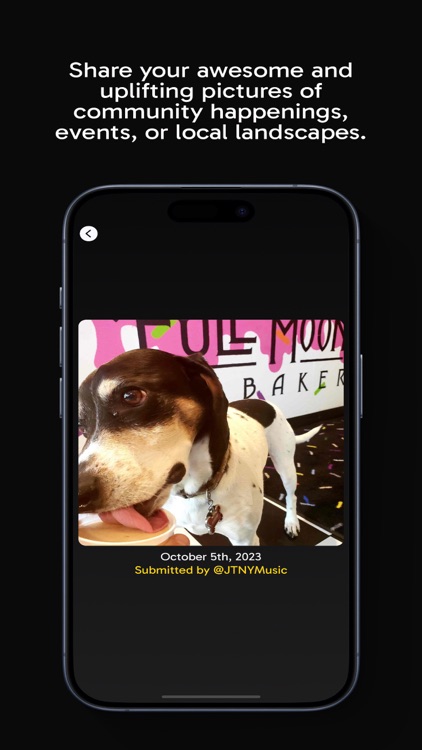 JTNY screenshot-3
