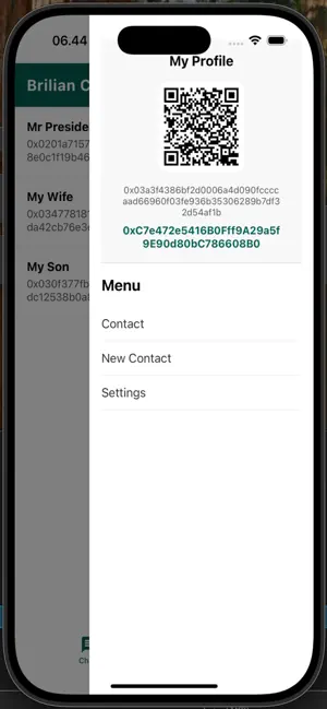 Brilian Chat screenshot 3