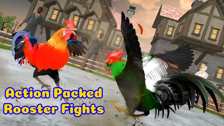 Rooster Battle-Chicken Fight