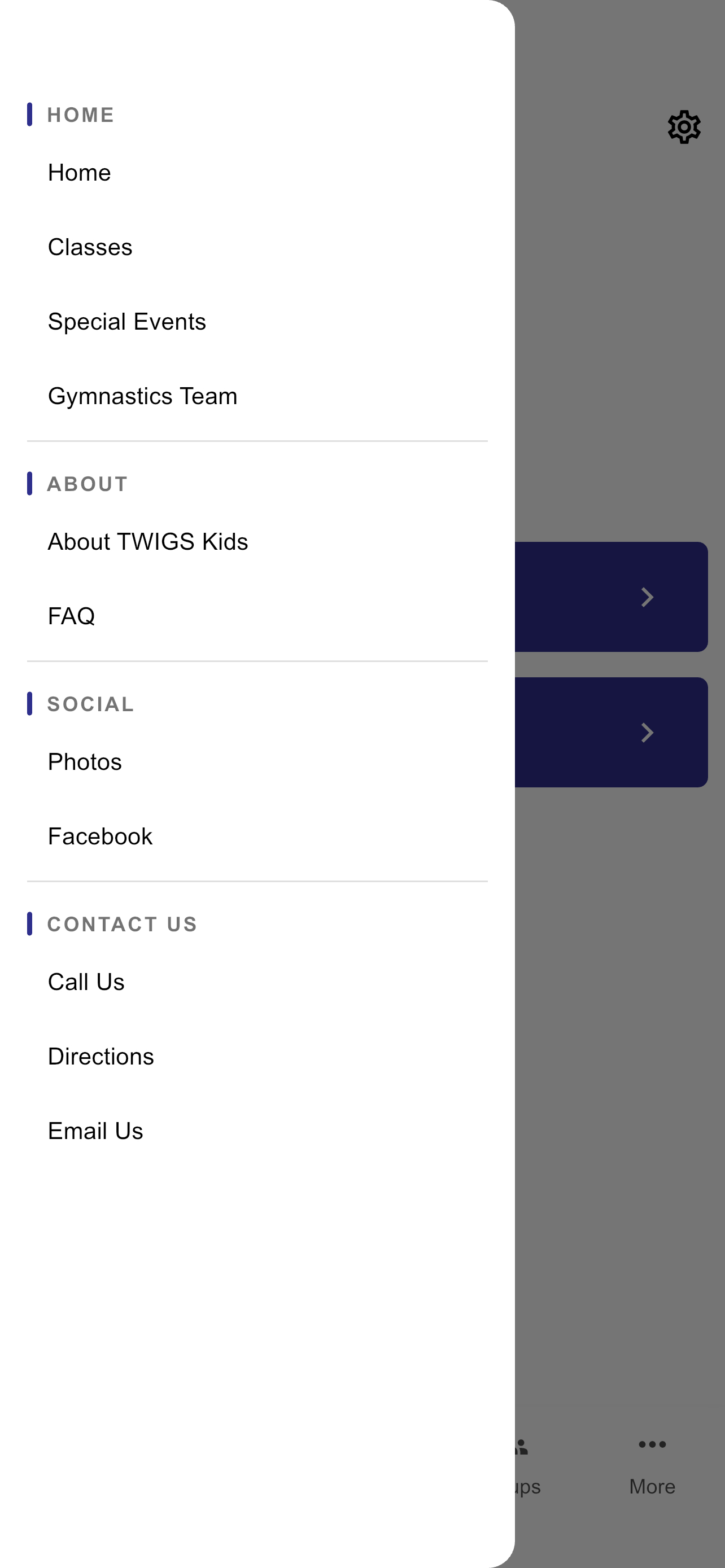 TWIGS Kids screenshot 3
