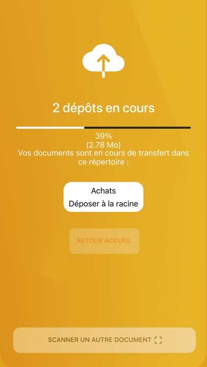 DOUCY CONSILIUM screenshot-6