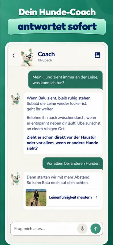 Hundeo - Hundetraining screenshot 4 of 6