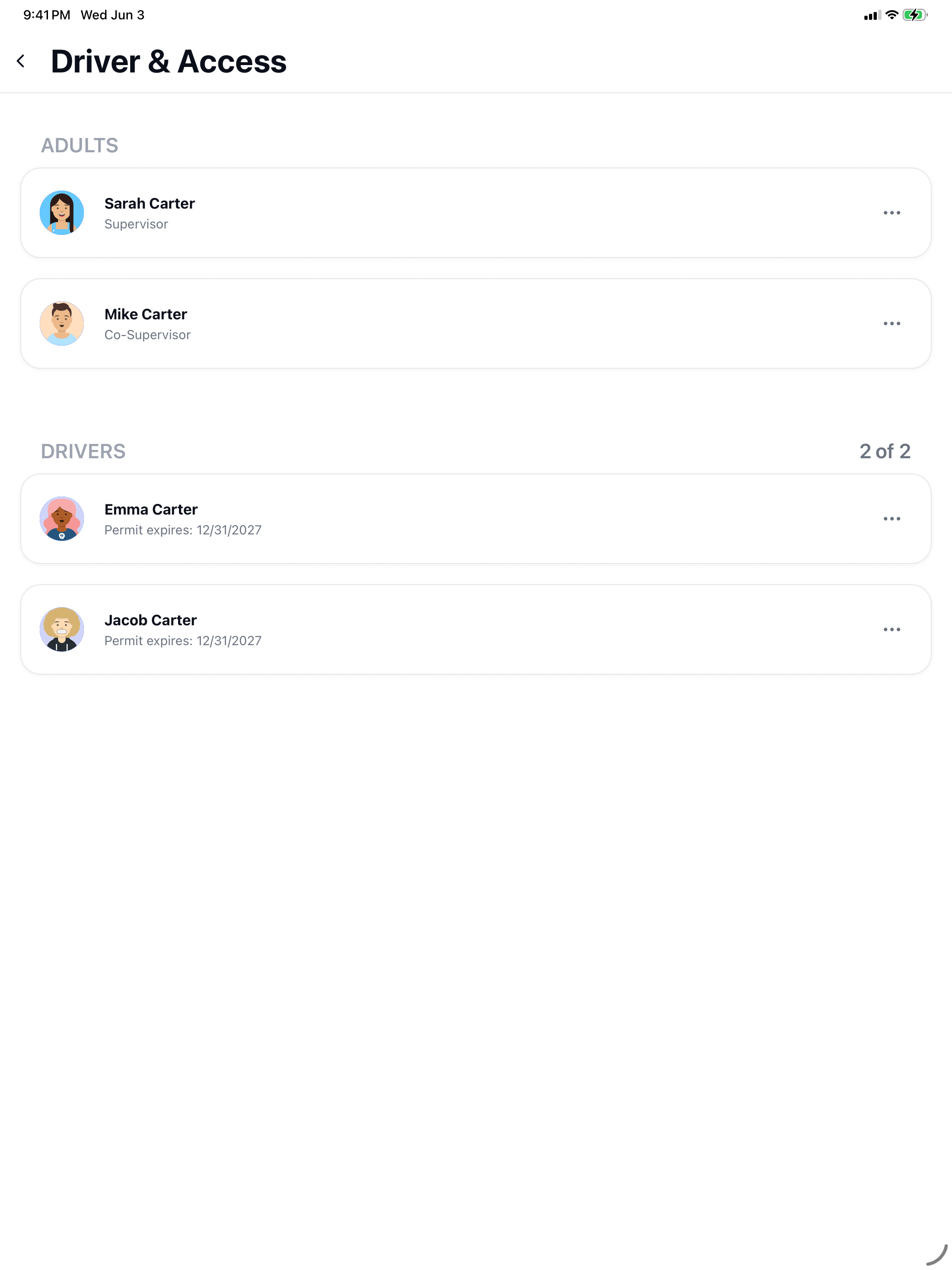 DriveReadyGo screenshot 14