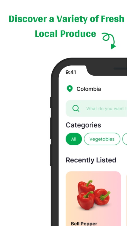 Semilla: Local Market to Table