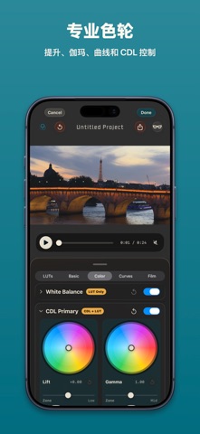Film Look Creator screenshot