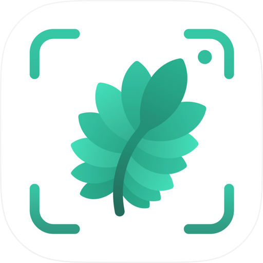 Jungle: Plant Identifier, Care