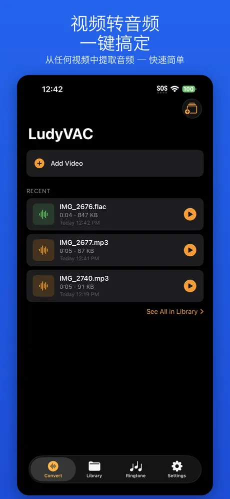 LudyVAC - 视频转音频 应用截图