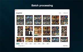 imagegrid - picture split айфон картинки 2