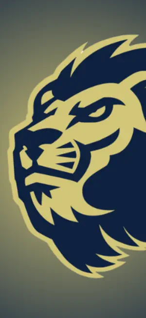 Lindsay Lane Lions screenshot 1
