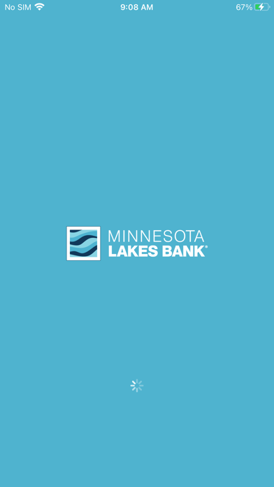 Minnesota Lakes Bank Screenshot
