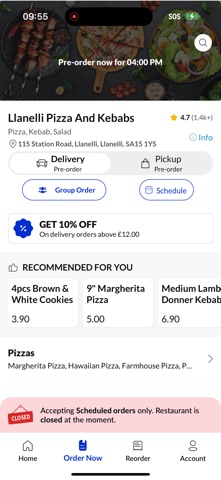 Llanelli Pizza And Kebabs screenshot