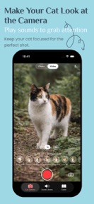 Cat Camera -  Efiko Pet Photos screenshot