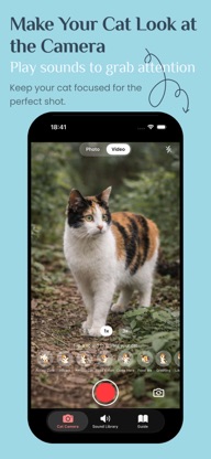 Cat Camera -  Efiko Pet Photos screenshot 1