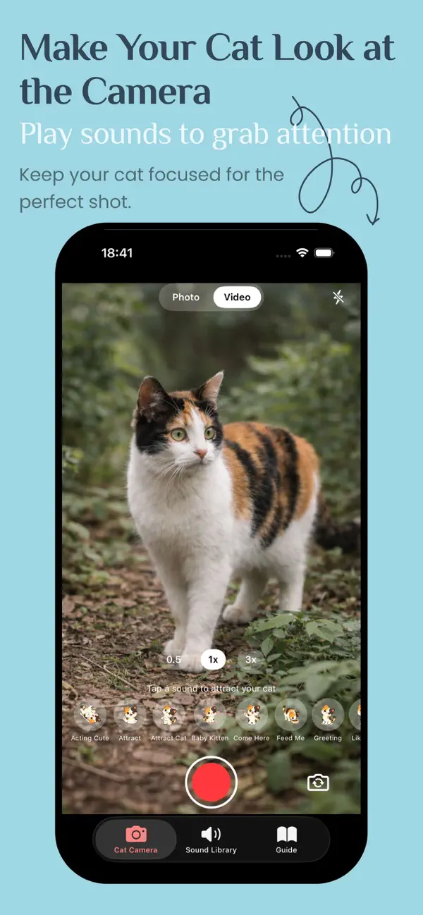 Screenshot #1 pour Cat Camera -  Efiko Pet Photos