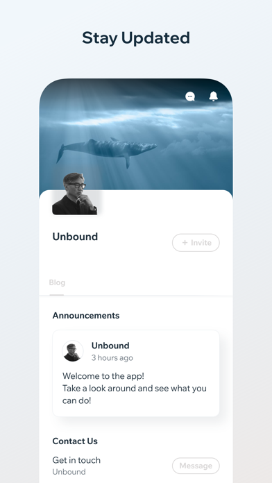 David Woo Unbound Institutions Screenshot