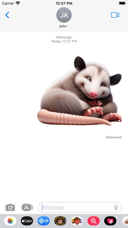 Sleeping Opossum Stickers screenshot-3