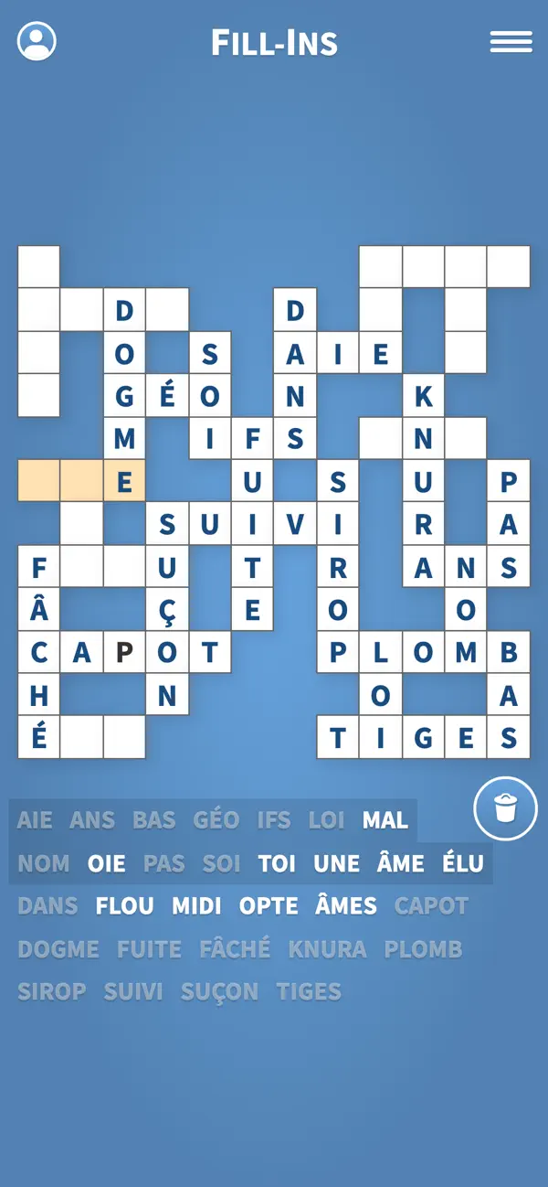 Screenshot #1 pour Mots Casés en Français