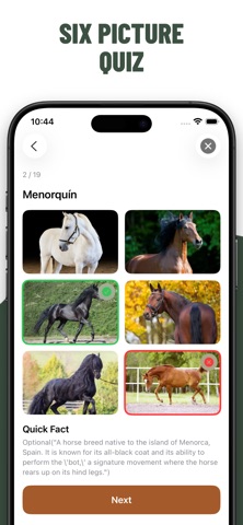 Horse Quiz Guess Breeds screenshot