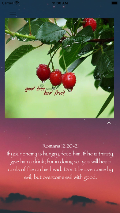 Daily Bible Devotionals Screenshot