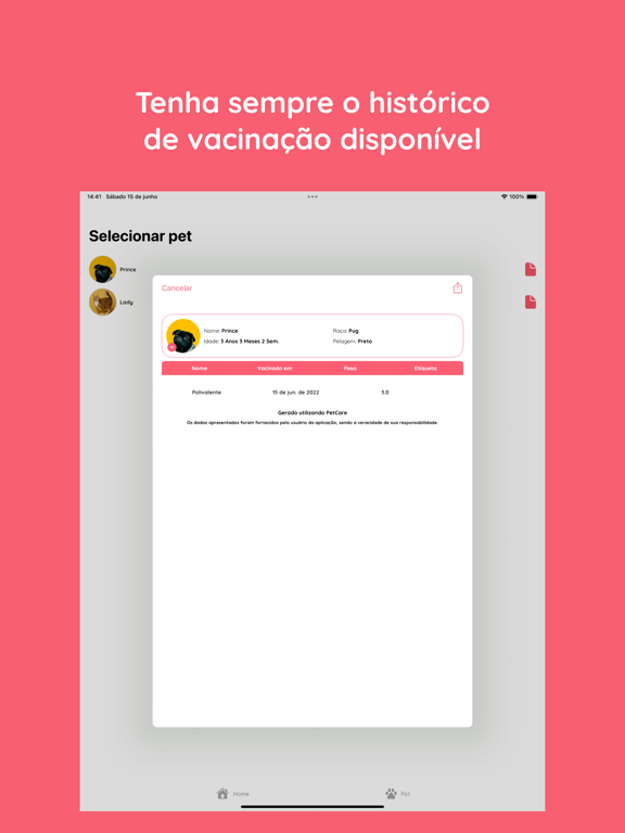 App screenshot