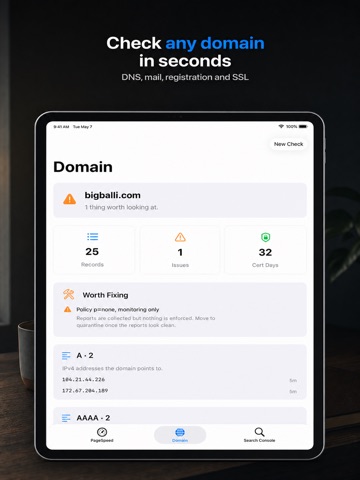 PageSpeed: Auditoría de Sitio iPad screenshot 2
