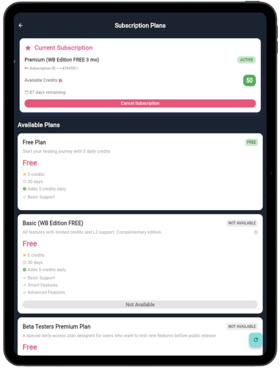iPad screenshot