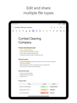 Google Docs screenshot 6