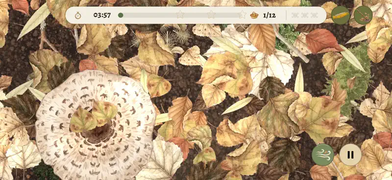 Bolets a la vista screenshot 5 of 8