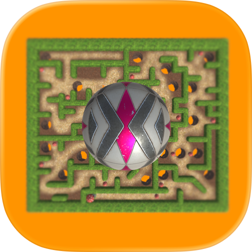 Tricky Maze Roller