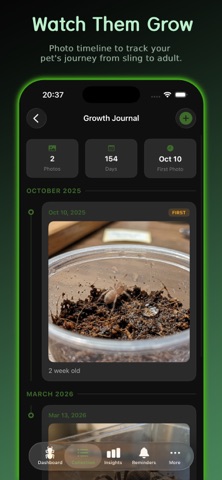 InvertMate - Tarantula & More screenshot