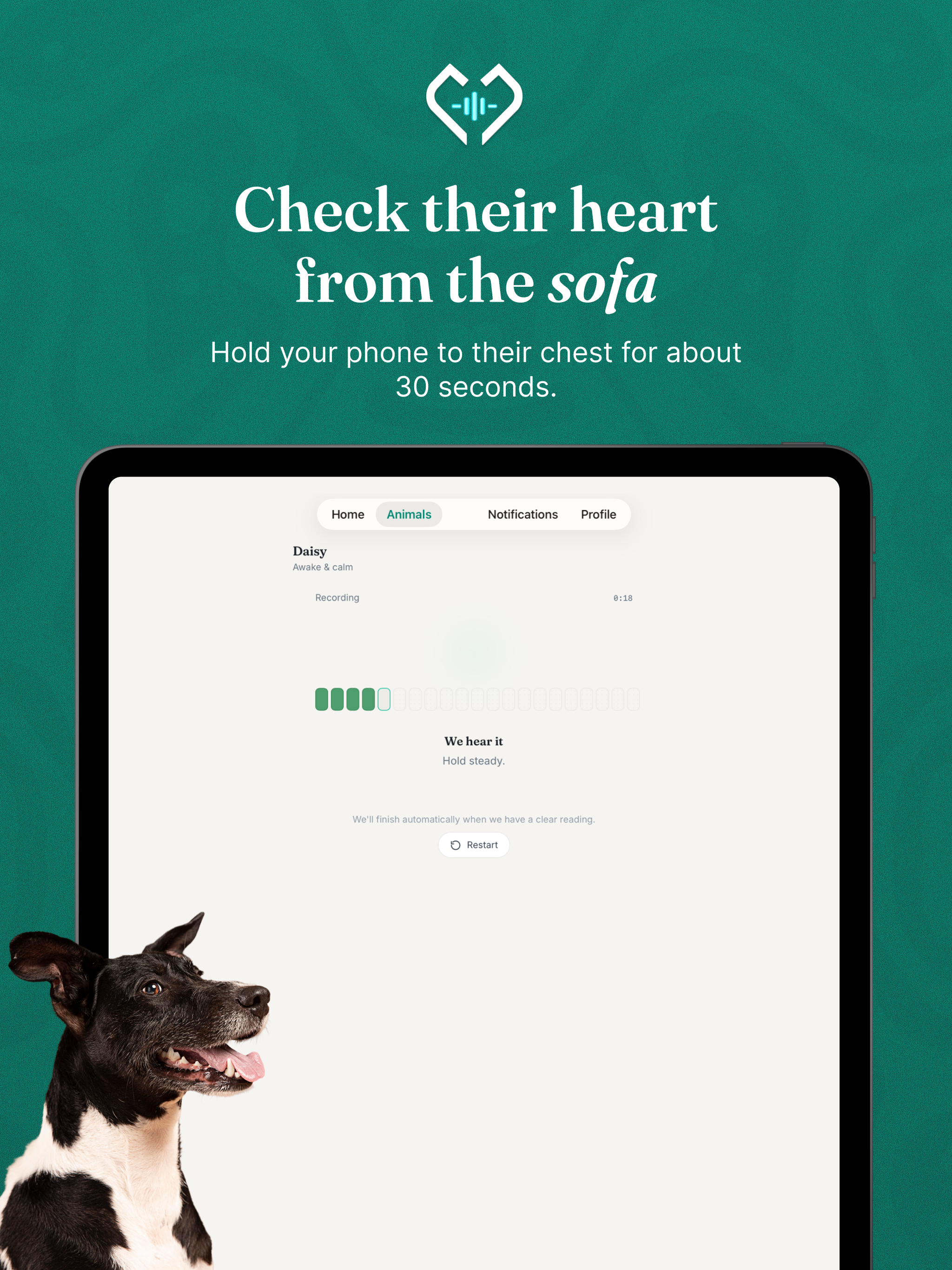 Sonus Health - Pet Heart Scans screenshot 6