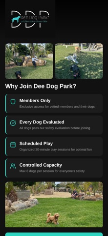 Dee Dog Park iPhone screenshot