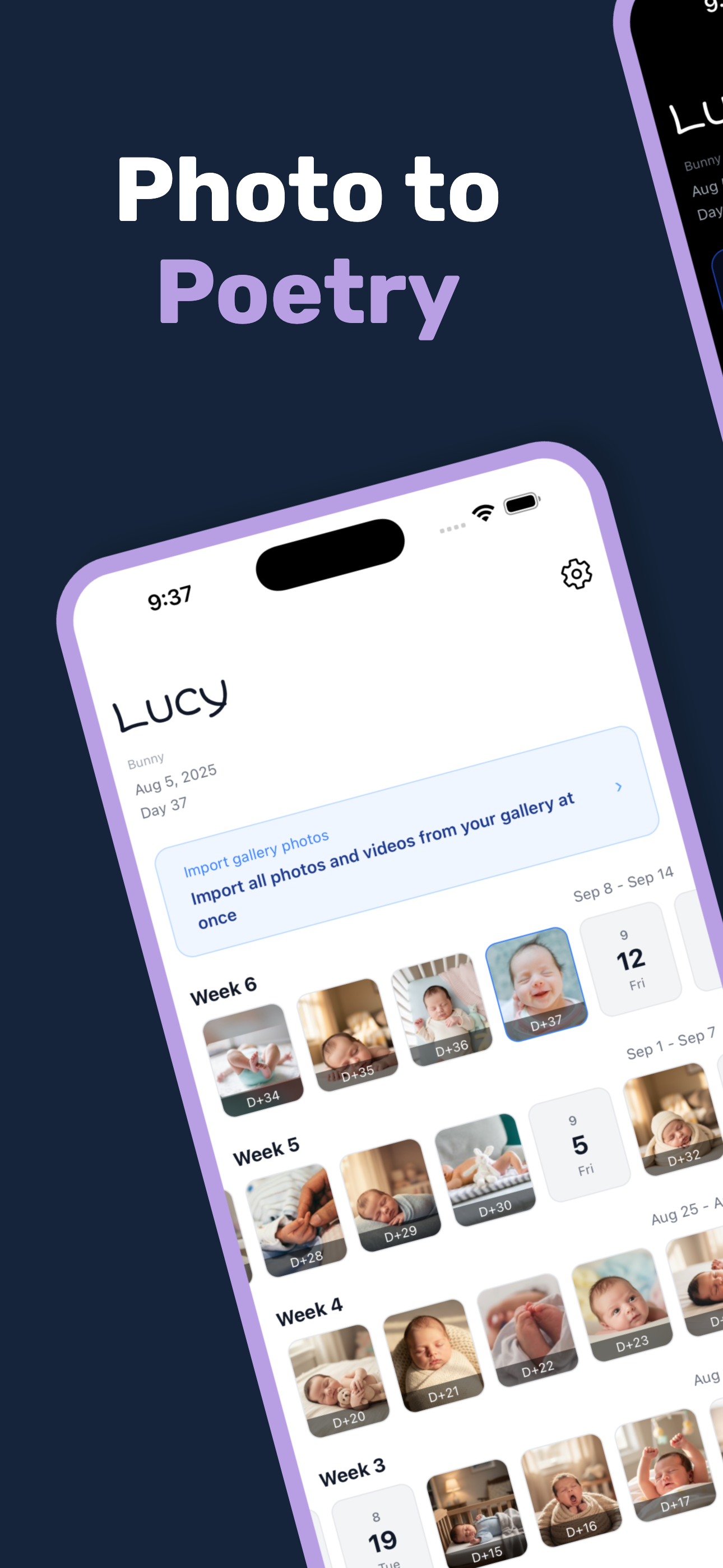 Family Album - Poeti