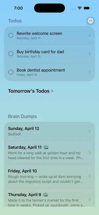 Brain Dump - Nightly Journal screenshot 5