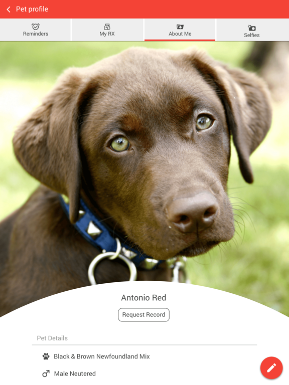Screenshot #6 pour Loving Care Pets