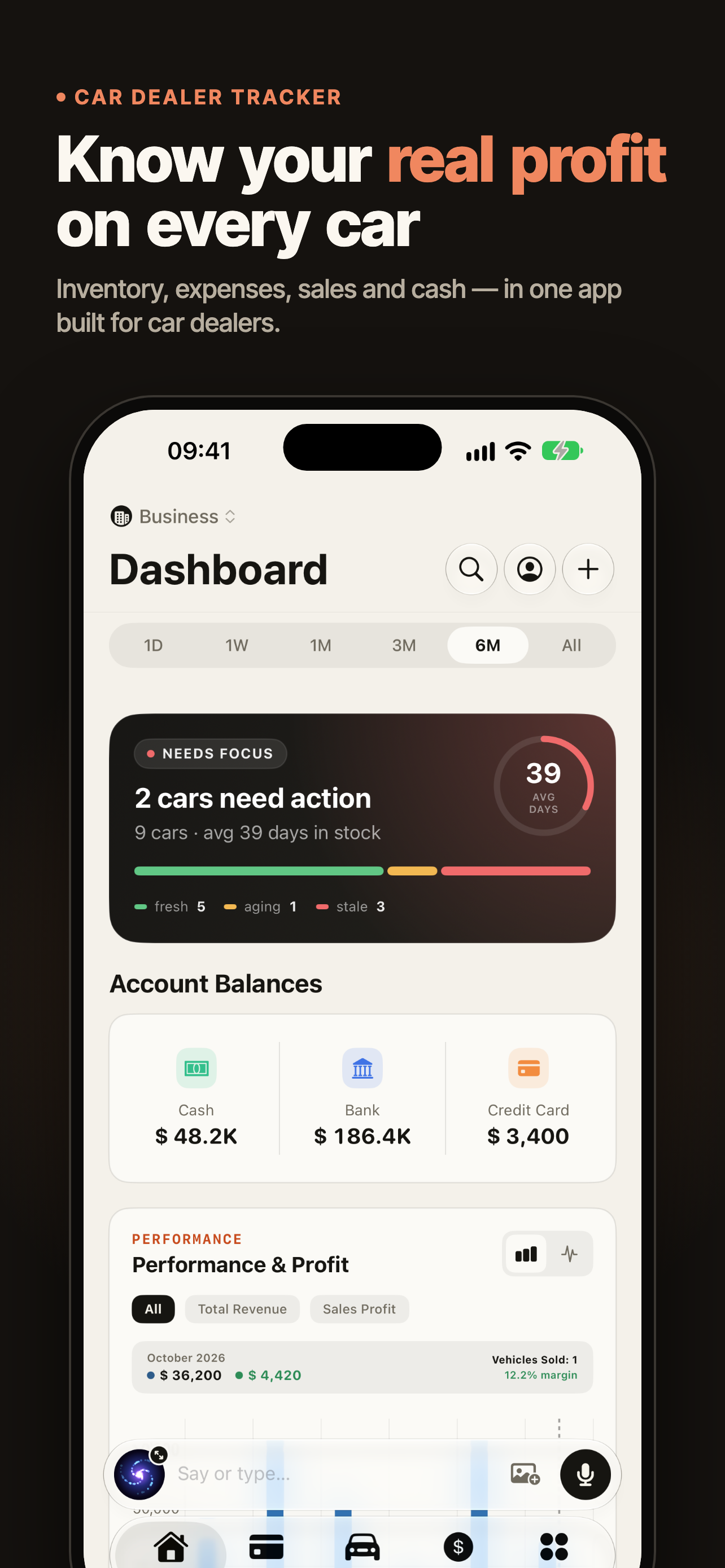 Car Dealer Tracker: Profit