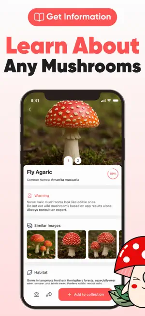 Mushroom Identification: AI ID screenshot 3