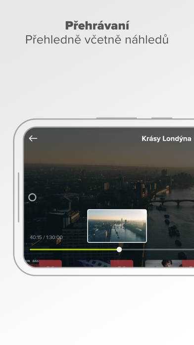 Selfnet TV Screenshot