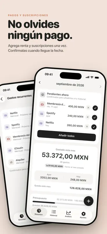 Walti: Control de gastos screenshot 3 of 10