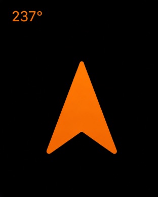 Apple Watch screenshot