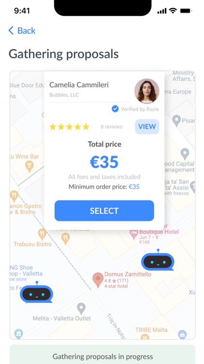 Rozie - Cleaning Services