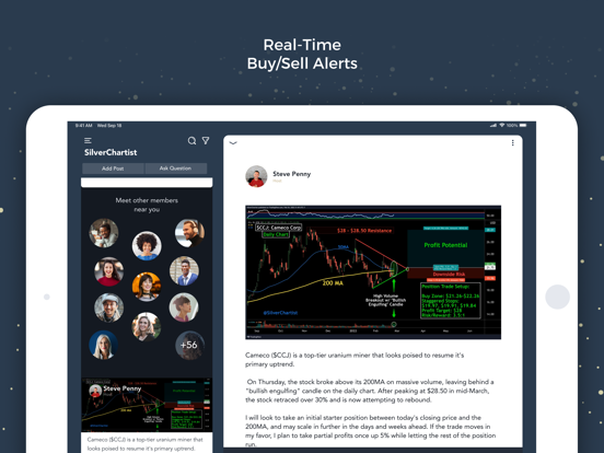 SilverChartist iPad screenshot 3 - Finance app