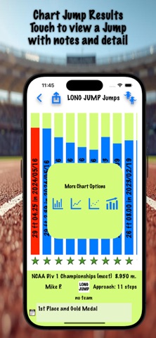 iJump3 ( Track and Field ) Screenshot 4 of 9