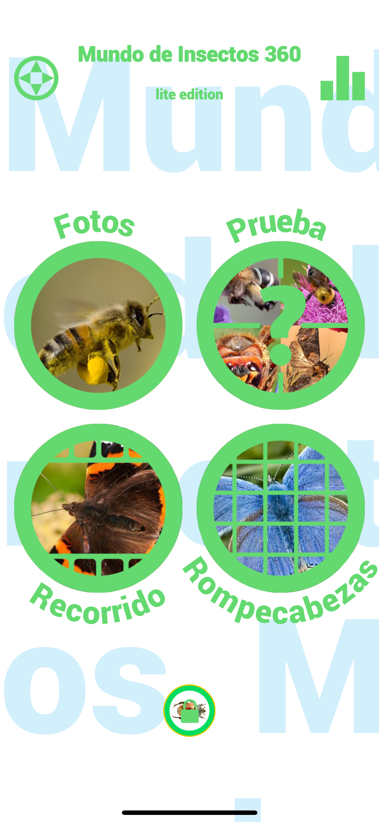 Insectos y arañas
