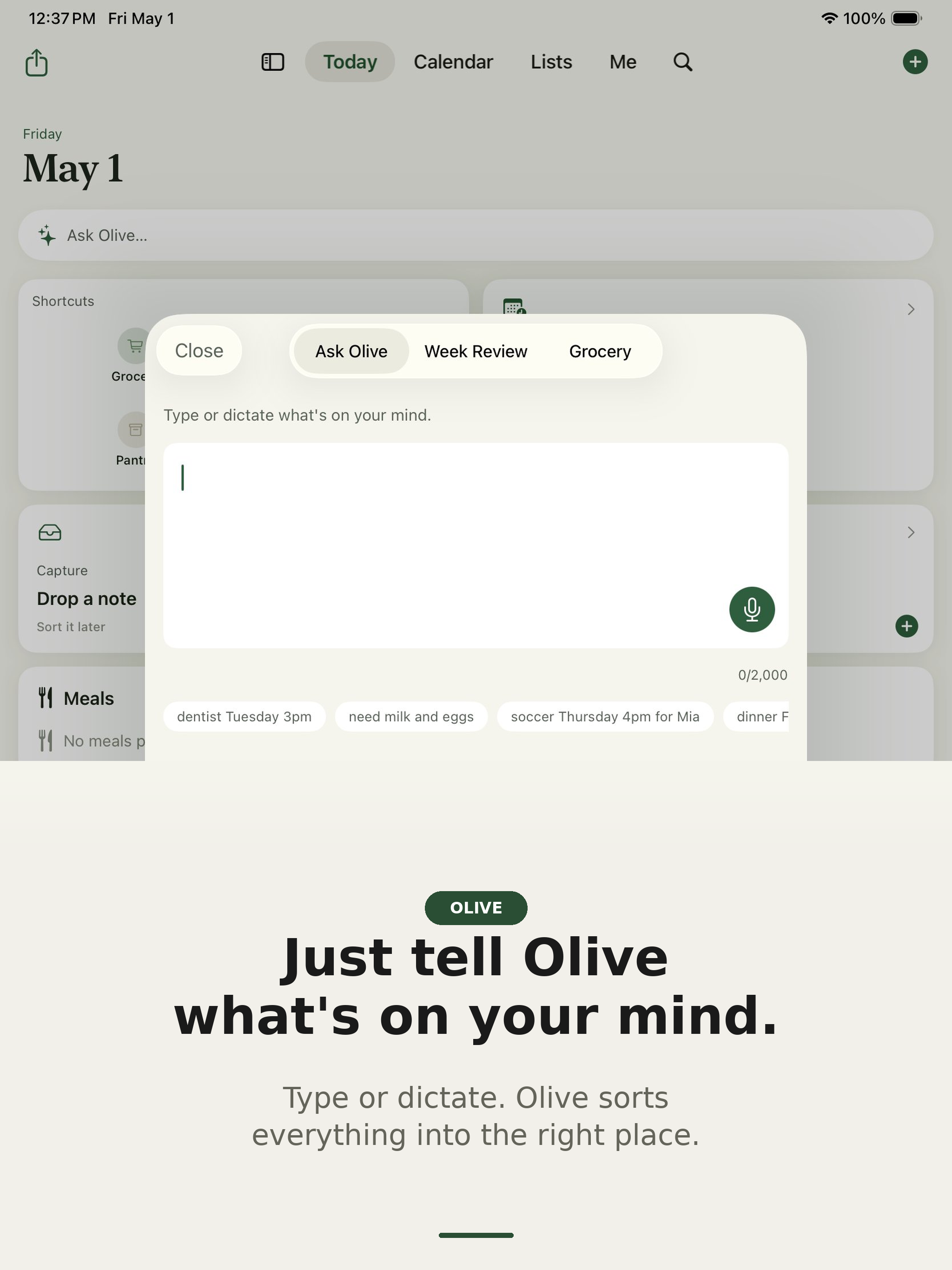 Olive - Household Rhythms